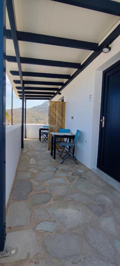 Ammonitis * Livadi (Serifos)